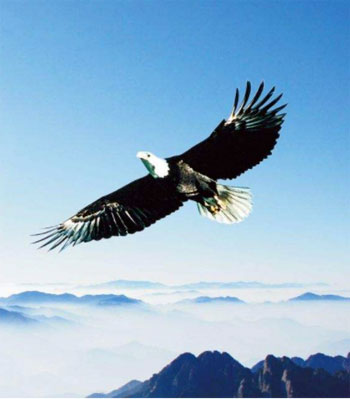 ABUIABACGAAgqNDC2AUos5eJ8gYw3gI4jwM